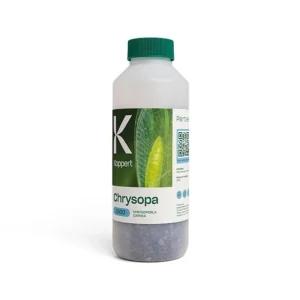 Chrysopa