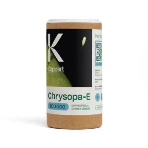 Chrysopa-E