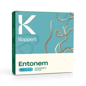 Entonem