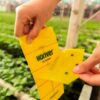 Horiver Wetstick2