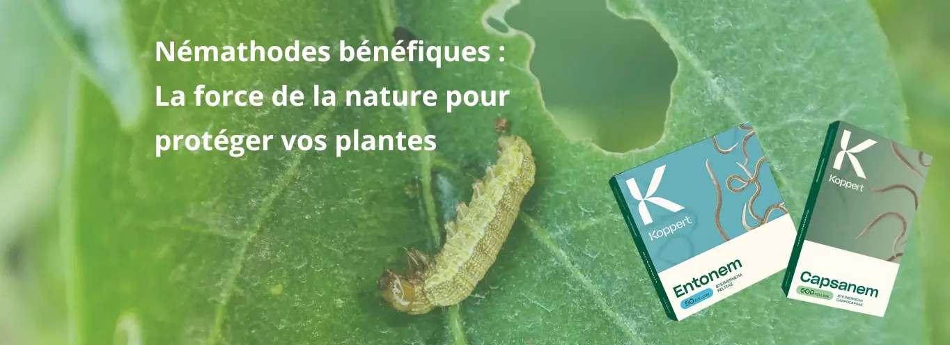 La force de la nature pour protéger vos plantes