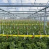 Horiver Rollertrap1