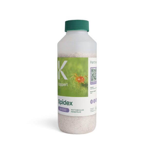 Spidex-10000-500ml