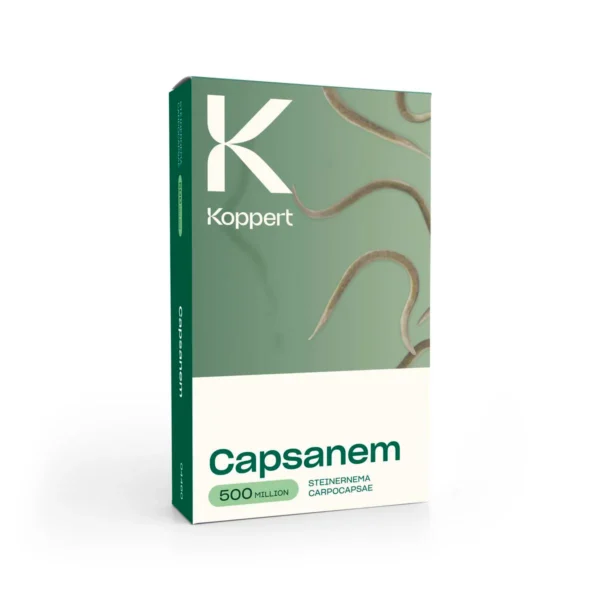 capsanem-500-million