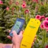 yellow-horiver-wetstick-smartphone